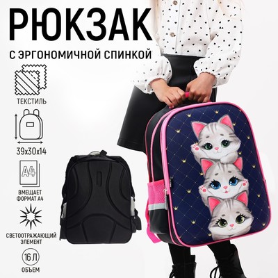 Рюкзак школьный, каркасный, 39×30×14 см «Серые котята»