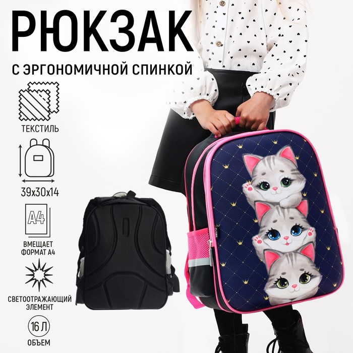Рюкзак школьный, каркасный, 39×30×14 см «Серые котята» - Фото 1