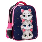 Рюкзак школьный, каркасный, 39×30×14 см «Серые котята» - Фото 2