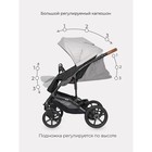 Коляска 2 в 1 Riko Bella Life, цвет grey fox - фото 119806676