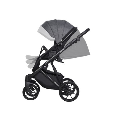 Коляска 2 в 1 Riko Delta, цвет carbon