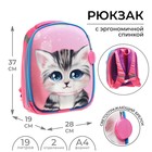 Рюкзак каркасный школьный, 37 х 28 х 19 см, Calligrata К "Котик" 7546912 - фото 9250093