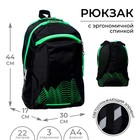 Рюкзак молодёжный, 44 х 30 х 17 см, эргономичная спинка, Calligrata К "Волны", чёрный/зеленый - фото 116693086