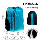 Рюкзак молодёжный, 44 х 28 х 18 см, эргономичная спинка, Calligrata "Тейди", мятный - фото 9625992