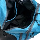 Рюкзак молодёжный, 44 х 28 х 18 см, эргономичная спинка, Calligrata "Тейди", мятный - фото 24578841