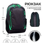 Рюкзак молодёжный, 44 х 28 х 18 см, эргономичная спинка, Calligrata "Тейди", чёрный - фото 16447038