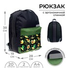 Рюкзак молодёжный, 38 х 28 х 19 см, эргономичная спинка, Calligrata Э "Авокадо" - фото 9626063