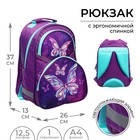 Рюкзак школьный, 37 х 26 х 13 см, эргономичная спинка, Calligrata АН "Бабочка" - фото 9626392