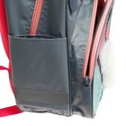 Рюкзак школьный, 37 х 26 х 13 см, эргономичная спинка, Calligrata АН "Ёжик" - Фото 17