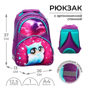 Рюкзак школьный, эргономичная спинка «Совушка», 37 х 26 х 13 см