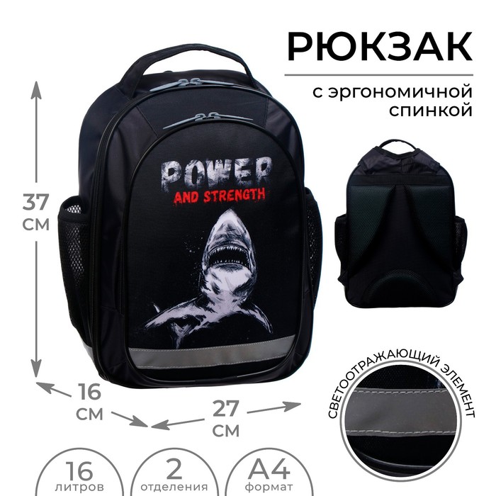 Рюкзак школьный, 37 х 27 х 16 см, эргономичная спинка, Calligrata Б "Акула"
