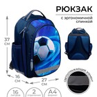 Рюкзак школьный, 37 х 27 х 16 см, эргономичная спинка, Calligrata Б "Мяч" - фото 318809385