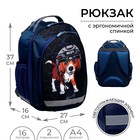 Рюкзак школьный, 37 х 27 х 16 см, эргономичная спинка, Calligrata Б "Хоккеист" - фото 9626766
