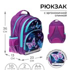 Рюкзак школьный, 36 х 23 х 13 см, эргономичная спинка, Calligrata П "Бабочка" - фото 9626781