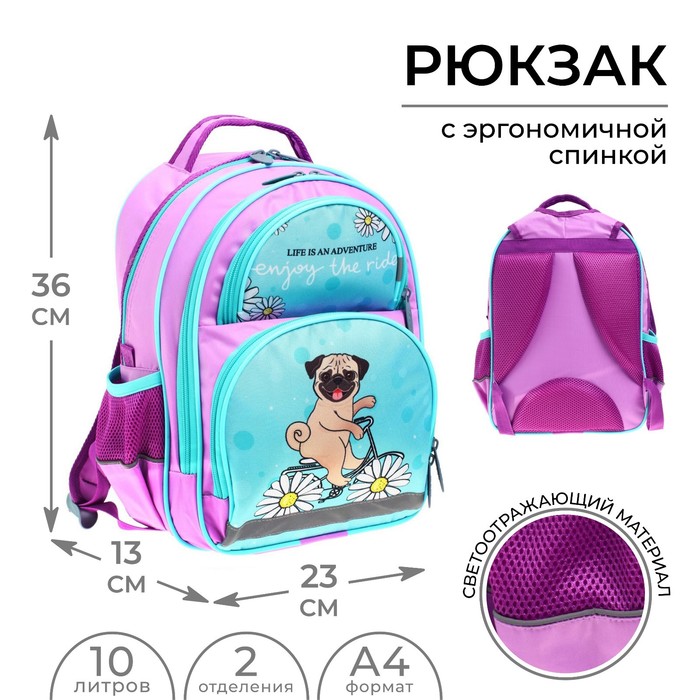 Рюкзак школьный, 36 х 23 х 13 см, эргономичная спинка, Calligrata П "Бульдожка" - Фото 1