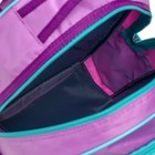 Рюкзак школьный, 36 х 23 х 13 см, эргономичная спинка, Calligrata П "Бульдожка" - Фото 9