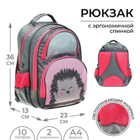 Рюкзак школьный, 36 х 23 х 13 см, эргономичная спинка, Calligrata П "Ёжик"