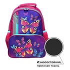 Рюкзак школьный, 37 х 26 х 13 см, эргономичная спинка, Calligrata ОРТ "Бабочки" - Фото 2