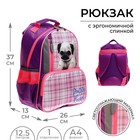 Рюкзак школьный, 37 х 26 х 13 см, эргономичная спинка, Calligrata ОРТ "Мопсик" - фото 9627182
