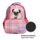 Рюкзак школьный, 37×26×13 см, эргономичная спинка, Calligrata ОРТ «Мопсик» 7547025