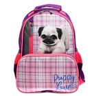 Рюкзак школьный, 37×26×13 см, эргономичная спинка, Calligrata ОРТ «Мопсик» 7547025