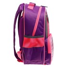 Рюкзак школьный, 37×26×13 см, эргономичная спинка, Calligrata ОРТ «Мопсик» 7547025