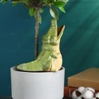 Ороситель для комнатных и садовых цветов "Крокодил" Кунгурская керамика, 0.2л, 19см, зелёный - фото 9731948