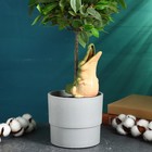 Автополив для комнатных растений «Крокодил», 200 мл, h=19 см, керамика - Фото 2