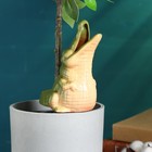 Автополив для комнатных растений «Крокодил», 200 мл, h=19 см, керамика - Фото 3