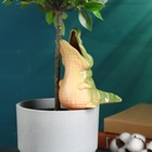 Ороситель для комнатных и садовых цветов "Крокодил" Кунгурская керамика, 0.2л, 19см, зелёный - Фото 4