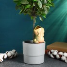 Ороситель для домашних растений и сада "Лягушка" Кунгурская керамика, 0.1л, 16см, зелёный - фото 6562092