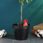 Автополив для комнатных растений «Птичка», 30 мл, h=8.5 см, керамика, МИКС - Фото 2