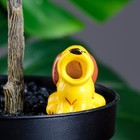 Автополив для комнатных растений «Птичка», 30 мл, h=8.5 см, керамика, МИКС - Фото 5