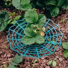 Кустодержатель для клубники, d=30.5 см, пластик, зелёный - Фото 3