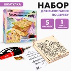 Набор для творчества. Выжигание по дереву «Шкатулка» 7335393 - фото 71948175