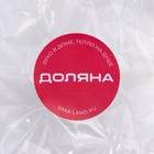 Форма перфорированная для выпечки Доляна «Круг», d=22 см, цвет серебристый - Фото 5