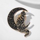 Значок «Кот на Луне», цвет чёрный в золоте - Фото 1
