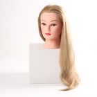 Голова учебная, искусственный волос, 55-60 см, объём 2D, без штатива, цвет блонд - фото 9629730