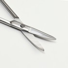 Ножницы маникюрные, прямые, узкие, 9,5 см, цвет серебристый - Фото 2