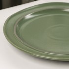 Тарелка керамическая обеденная «Крем», d=24,7 см, цвет зелёный - Фото 2
