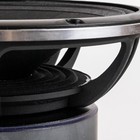 Среднечастотная акустика ALPHARD Deaf Bonce Apocalypse AP-M81AC, 600Вт, набор 2 шт - фото 51434231