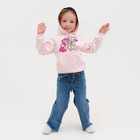 Худи для девочки Friends, My Little Pony, рост 98-104 см 7453048 - фото 16255292