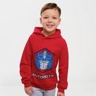 Толстовка "Autobots", Трансформеры, рост 134-140 7453058 - фото 13872433