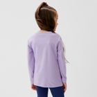 Футболка с длинным рукавом «Искорка», My Little Pony, рост 110-116 - Фото 5