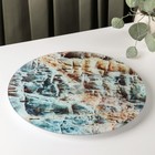 Подставка стеклянная для торта вращающаяся Доляна «Биотин», d=32 см - Фото 1