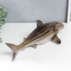 Сувенир полистоун свет "Акула" 14х20,5х45 см - Фото 3