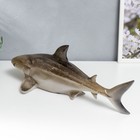 Сувенир полистоун свет "Акула" 14х20,5х45 см - Фото 4
