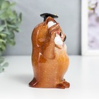 Сувенир полистоун лак "Филин - Выпускник" 9,8х5,5х10,6 см - фото 24314432