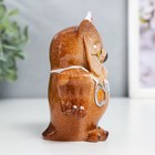 Фигурка полистоун лак «Филин: Медицинский работник», 10.2×5.7×9.7 см - Фото 2