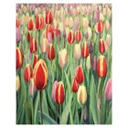 Подушка валик «Тюльпановый рай, декоративная, размер 16х45 см - Фото 2